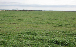 Unit 183 image a
