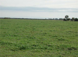 Unit 183 image b