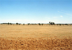 Unit 185 image b