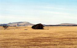Unit 186 image a