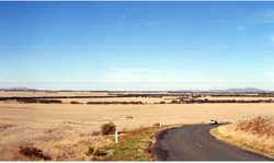 Unit 186 image c