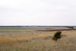 Unit 87 image b