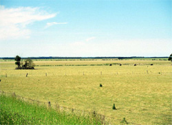 Unit 188 image b