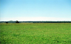 Uni t189 image a
