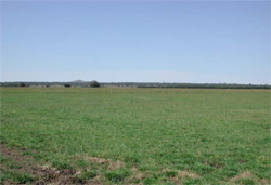 Unit 189 image b