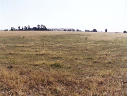 Unit 190 image b