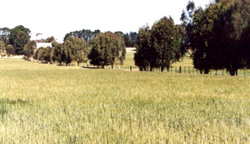 Unit 190 image c