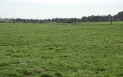 Unit 191 image a