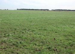Unit 191 image b