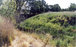 Unit 192 image a