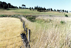 Unit 192 image b