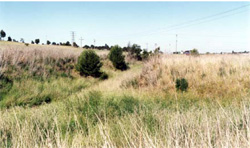 Unit 192 image c