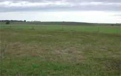 Unit 193 image a