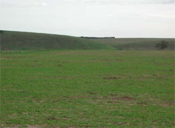Unit 193 image b