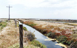 Unit 194 image a