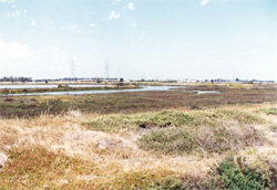 Unit 194 image b