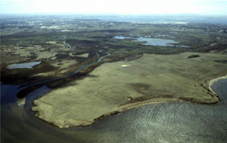 Unit 195 image a