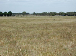 Unit 195 image b