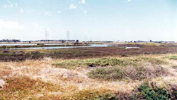 Unit 195 image c