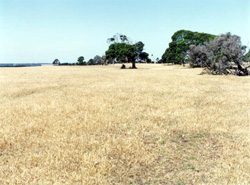 Unit 196 image b