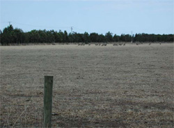 Unit 197 image b