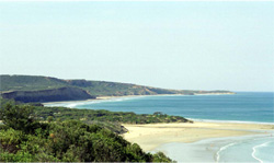 Unit 198 image c