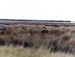 Unit 200 image b