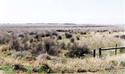 Unit 200 image c