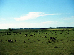 Unit 201 image b