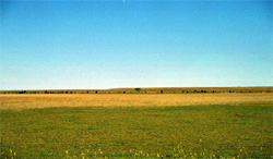 Unit 201 image c