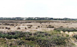Unit 202 image a