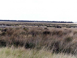 Unit 202 image b