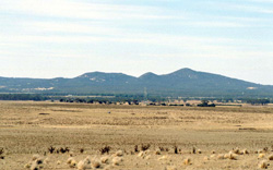 Unit 203 image a