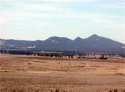 Unit 203 image b
