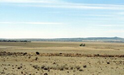 Unit 203 image c
