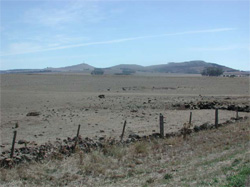 Unit 204 image b