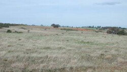 Unit 21 image c