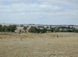 Unit 22 image b