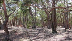 Unit 22 image c