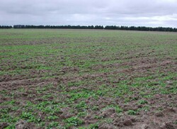 Unit 24 image b