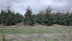 Unit 24 image c