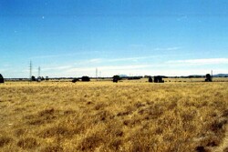 Unit 25 image b
