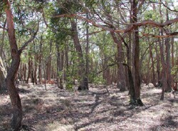 Unit 26 image b
