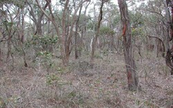 Unit 28 image a
