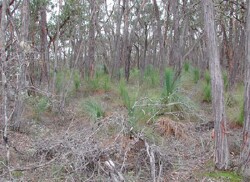 Unit 28 image b