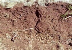 Unit 29 image e
