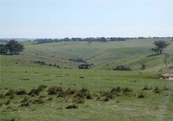 Unit 2 - image b