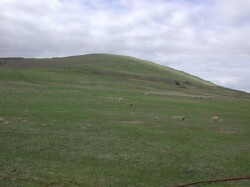 Unit 30 image b