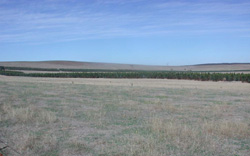 Unit 32 image a