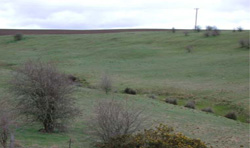 Unit 32 image c